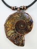 Ammonite Fossil Necklace with Copper and Leather